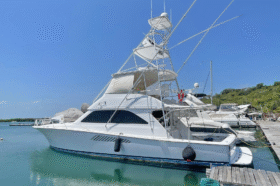 VIKING CONVERTIBLE 48