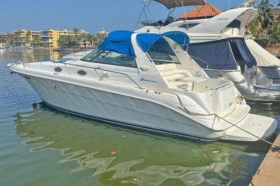 SEA RAY SUNDANCER 34