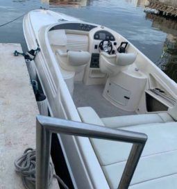 
										PROMARINE 33 1000 SS full									