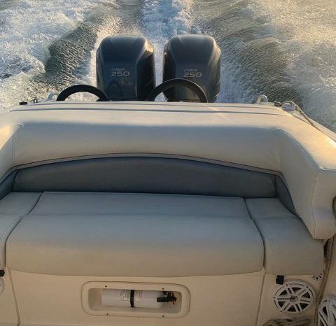 
								PROMARINE 33 1000 SS full									