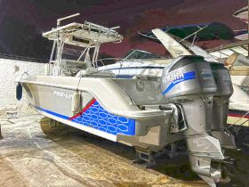 PROLINE 29