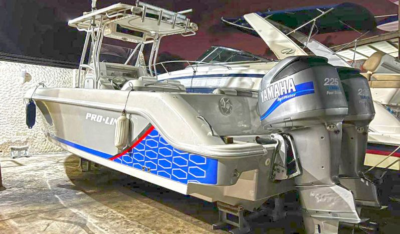 
								PROLINE 29 full									