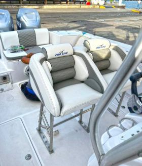 PROLINE 29
