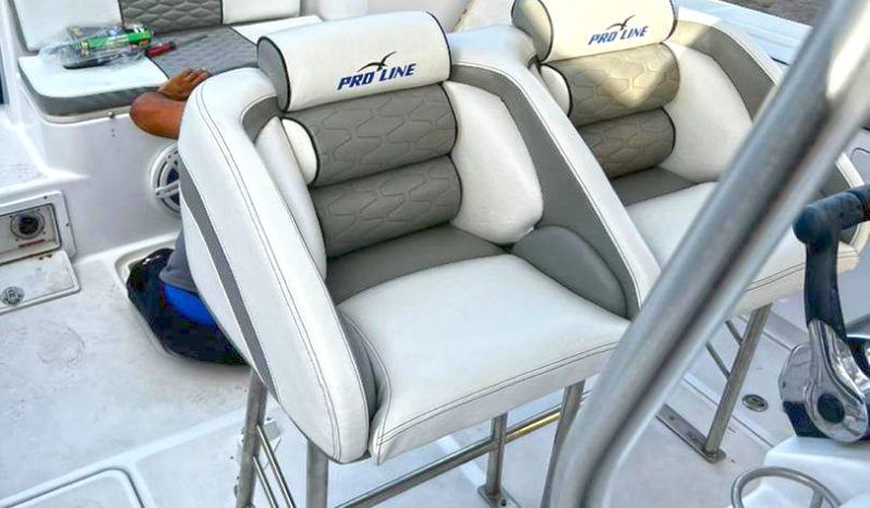 
								PROLINE 29 full									