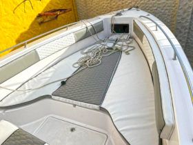 PROLINE 29
