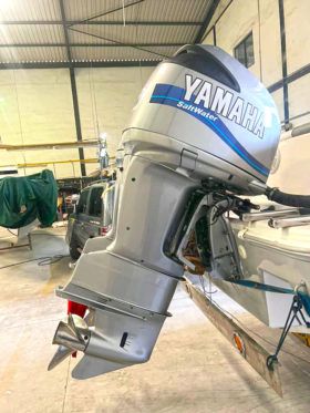 PROLINE 29