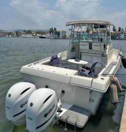 
										PROLINE MID CABIN 2950 30 full									