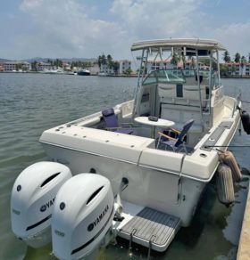 PROLINE MID CABIN 2950 30