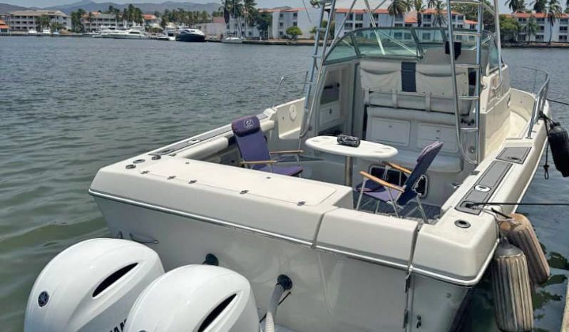 
								PROLINE MID CABIN 2950 30 full									