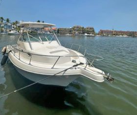 PROLINE MID CABIN 2950 30