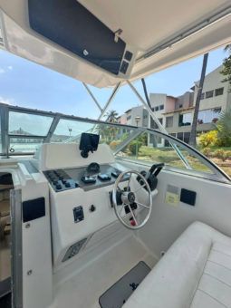 
										PROLINE MID CABIN 2950 30 full									
