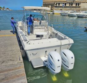 PROLINE MID CABIN 2950 30