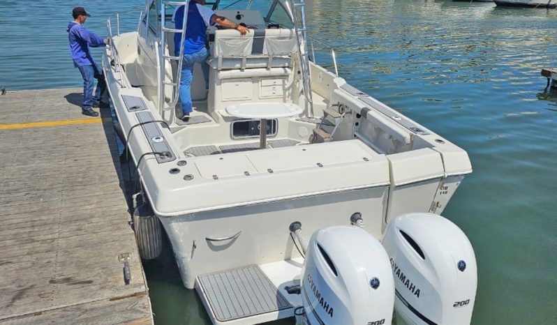 
								PROLINE MID CABIN 2950 30 full									