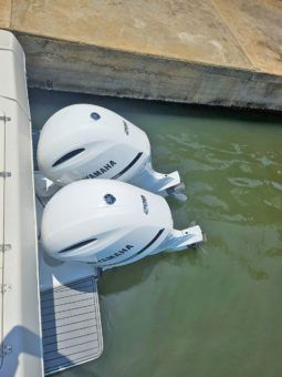 
										PROLINE MID CABIN 2950 30 full									