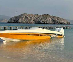 
										PROMARINE SPORT 1.000SS full									