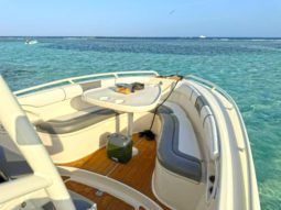 
										PROMARINE OPEN 24 full									
