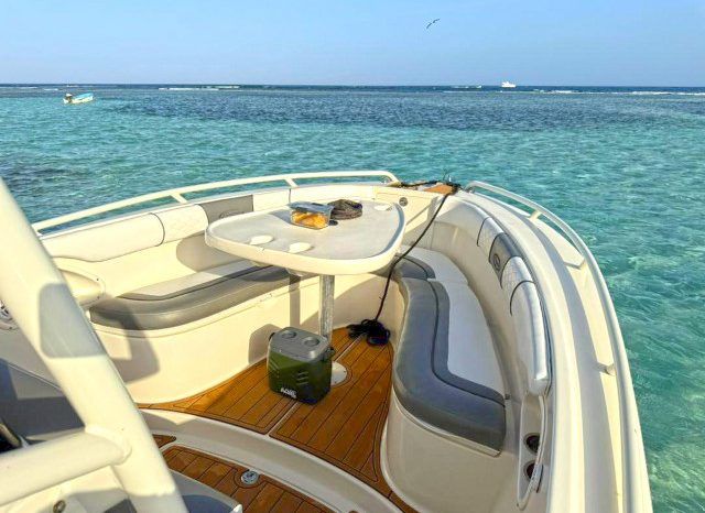 
								PROMARINE OPEN 24 full									