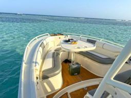 
										PROMARINE OPEN 24 full									