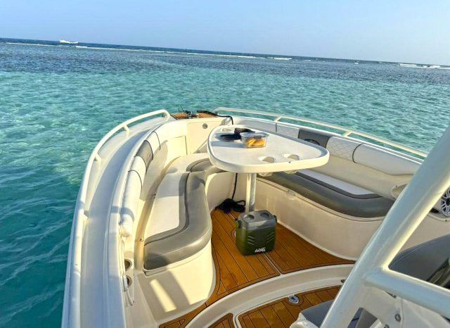 
								PROMARINE OPEN 24 full									