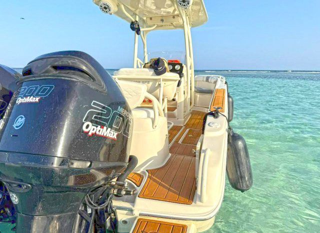 
								PROMARINE OPEN 24 full									