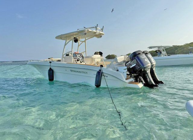 
								PROMARINE OPEN 24 full									