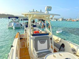 
										PROMARINE OPEN 24 full									