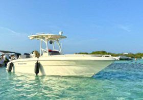PROMARINE OPEN 24