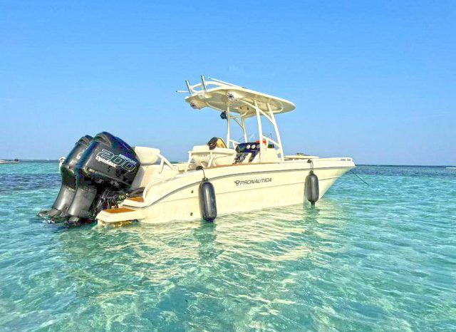 
								PROMARINE OPEN 24 full									