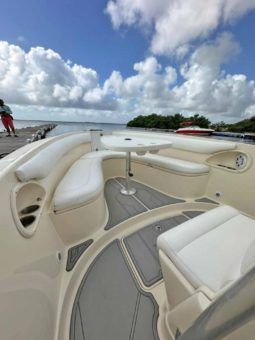 
										PROMARINE OPEN 24 full									