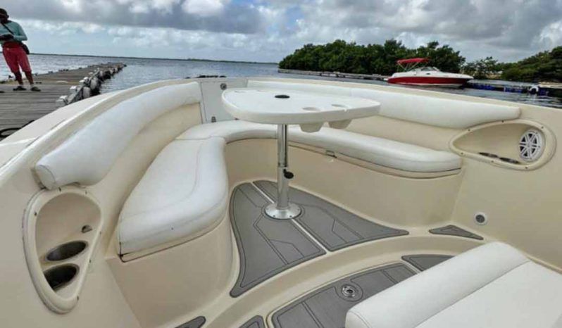 
								PROMARINE OPEN 24 full									