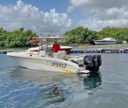 
										PROMARINE OPEN 24 full									