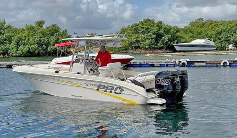 
								PROMARINE OPEN 24 full									