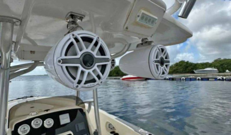 
								PROMARINE OPEN 24 full									