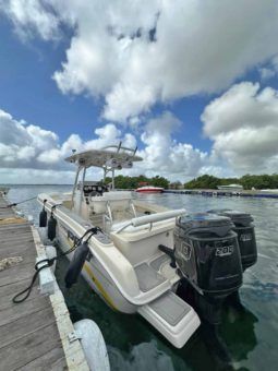 
										PROMARINE OPEN 24 full									