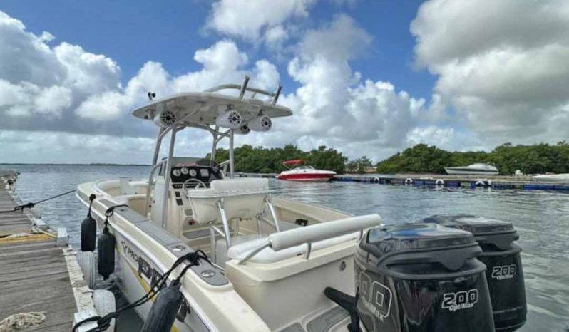 
								PROMARINE OPEN 24 full									