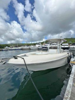 
										PROMARINE OPEN 24 full									