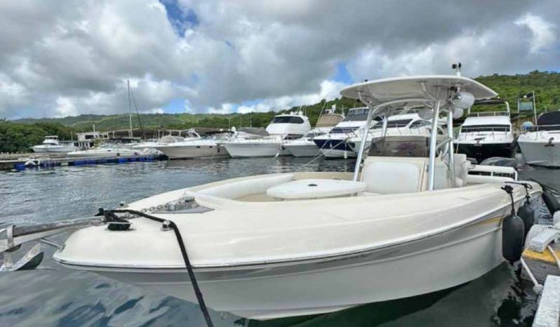 
								PROMARINE OPEN 24 full									