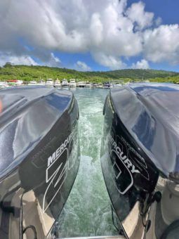 
										PROMARINE OPEN 24 full									