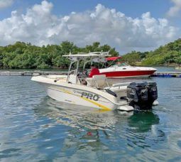 
										PROMARINE OPEN 24 full									