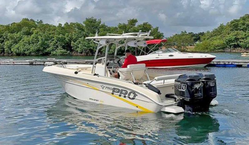 
								PROMARINE OPEN 24 full									