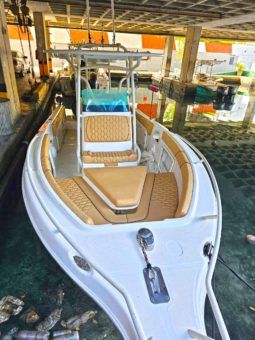 
										PROMARINE OPEN 27 full									