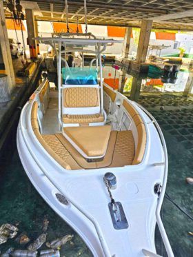 PROMARINE OPEN 27