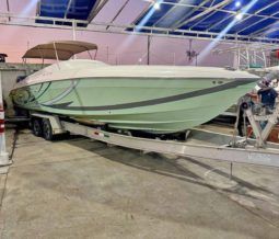 
										PROMARINE 33 1000 SS full									