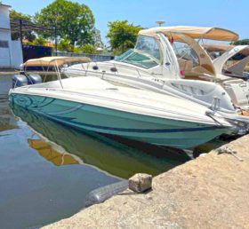 PROMARINE 33 1000 SS