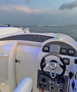 
										PROMARINE 33 1000 SS full									