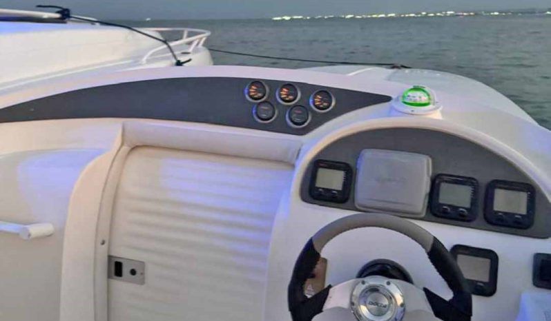 
								PROMARINE 33 1000 SS full									