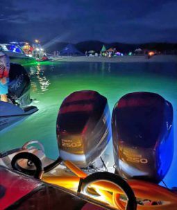 
										PROMARINE 33 1000 SS full									