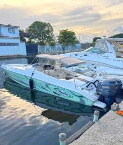 
										PROMARINE 33 1000 SS full									