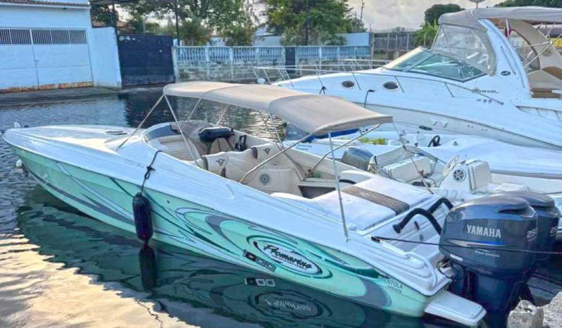 
								PROMARINE 33 1000 SS full									