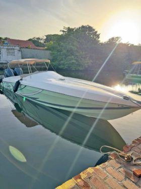 PROMARINE 33 1000 SS